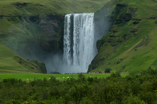 Waterfall Among the Greens