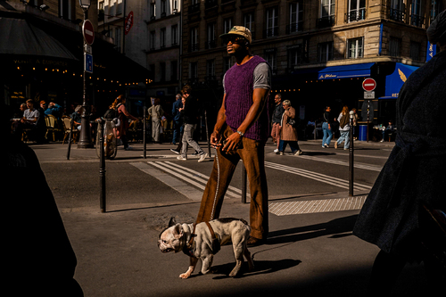 Walking the Dog