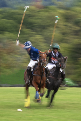 Polo in Motion