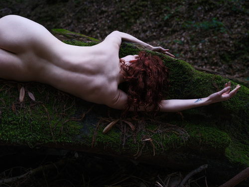 Redwood Moss