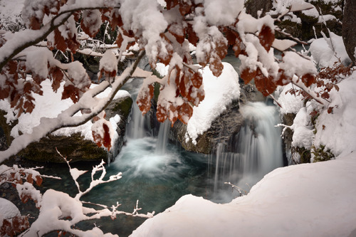 Whispers of Winter