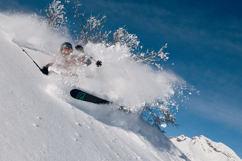 POWDER