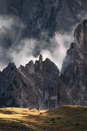 Giants and Grazers