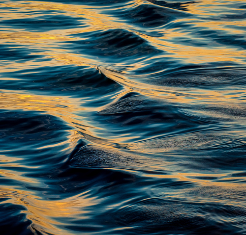 Rhythm of the Pacific