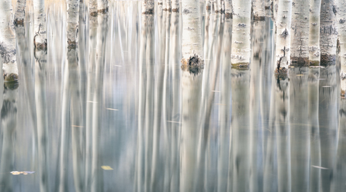 Submerged