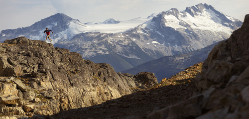 Alpine Run