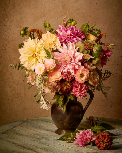 Dahlia Obsession