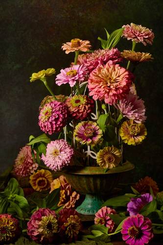 Zinnia Birdcage