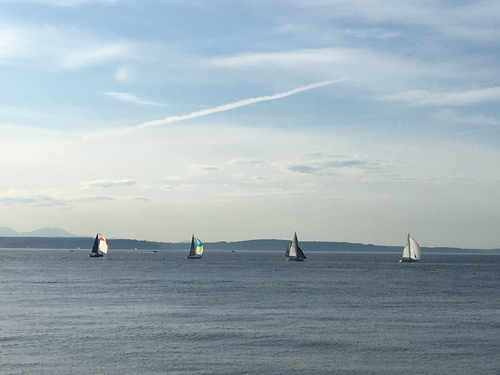 Sound Sailboats