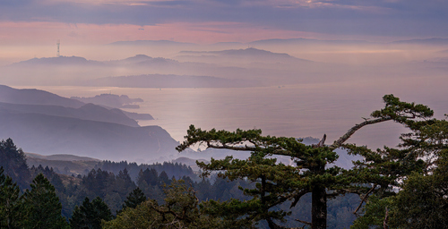 Looking Toward San Francisco
