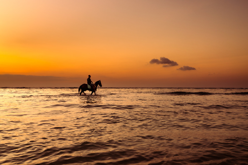 Gili Sunset on Horseback