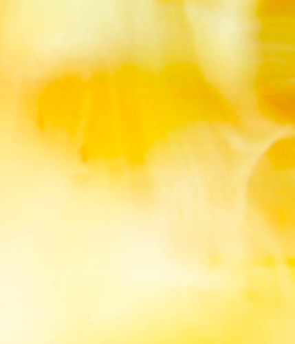 monochrom, not monochrom - yellow