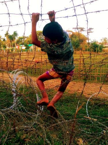 Barberic fence 