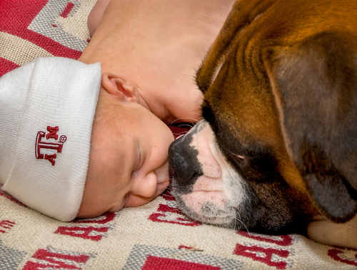 Nose to Nose