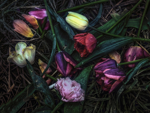 I Can Buy Myself Flowers
