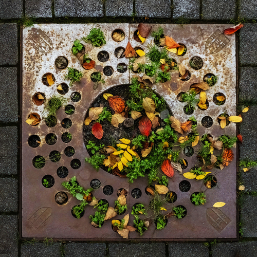 Sidewalk Mandala