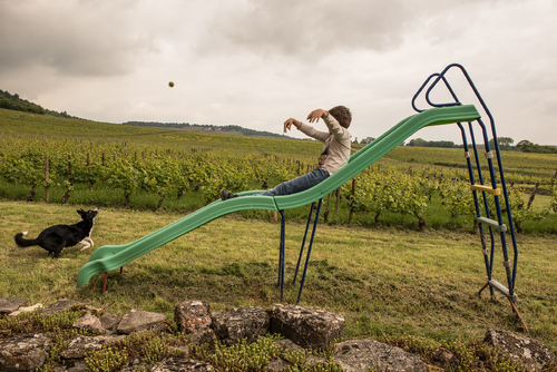 Between a rock and a vineyard