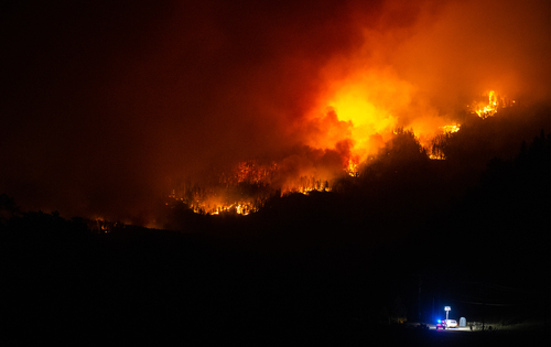 Staring down a wildfire