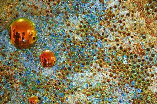Bubbles