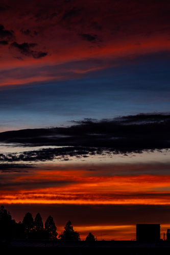 Evening Palette