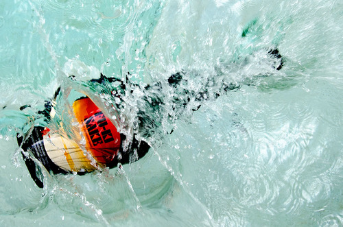 Bottle Splash