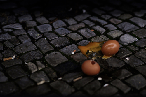 Egg based