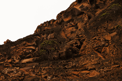 Inner landscape