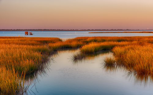 Chincoteague Marsh