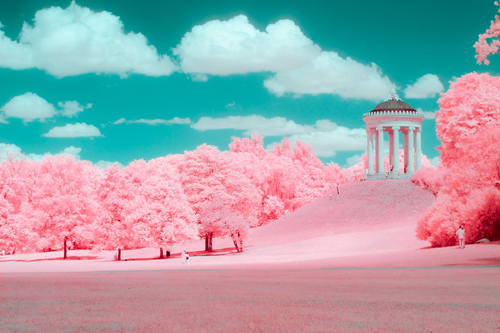 Invisible colors, Garden DE