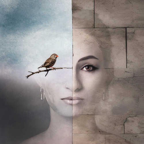 Birdy