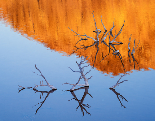 Backwater