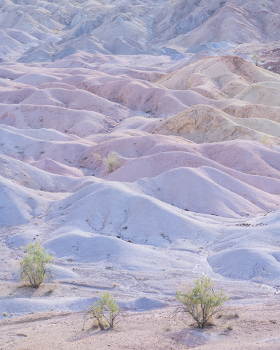 Afternoon in the badlands