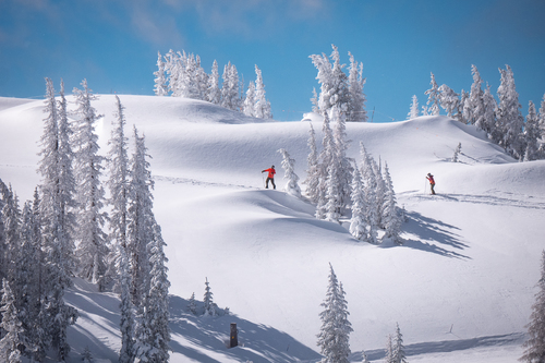 Powder Crossing