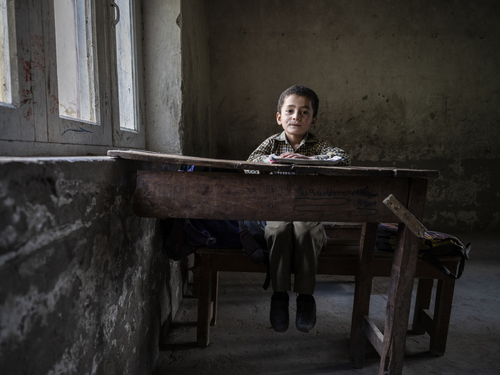 Schooling in the dark