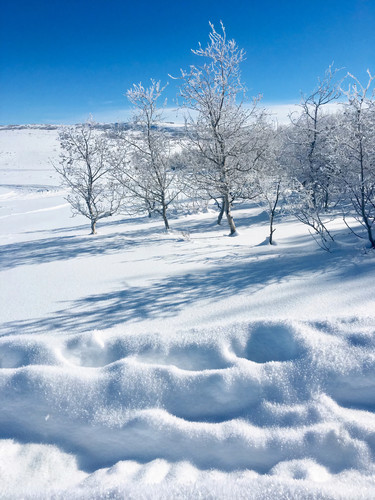 Winter Beach