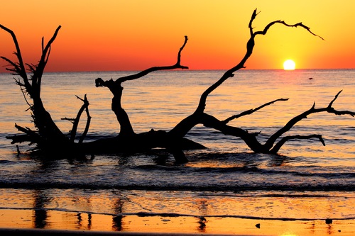 Sunrise
