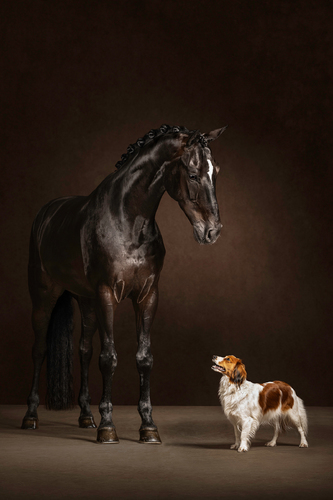 You've got a friend in me