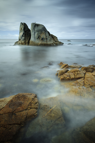 Birdrock