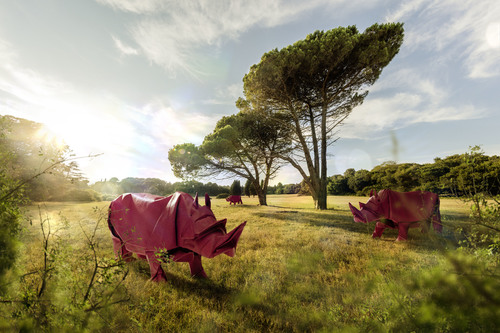 Rhinos