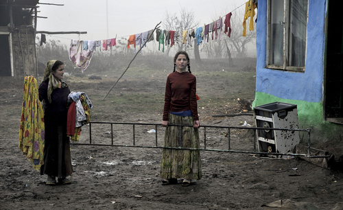 Life in the Mud