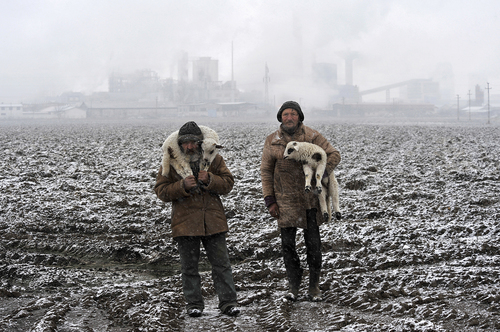 Transylvanian shepherds