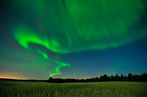 a_Aurora