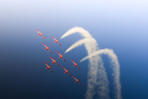 The Snowbirds