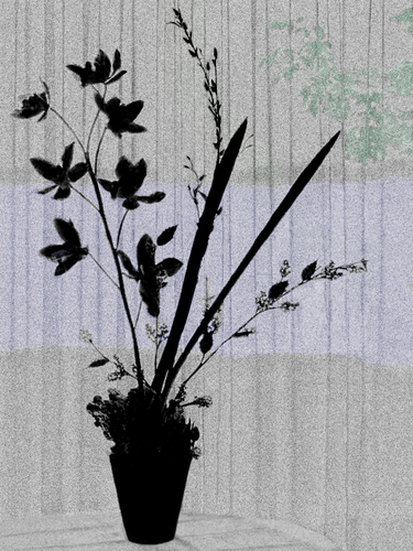 Plant in a Window on a Lake