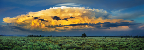 Prairie Thunder