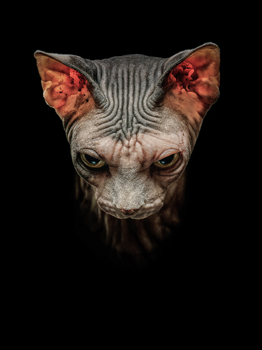 I will eat your soul