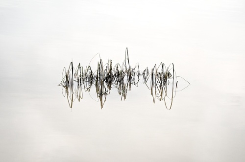 Loud Silence