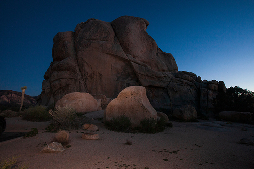 Joshua Tree