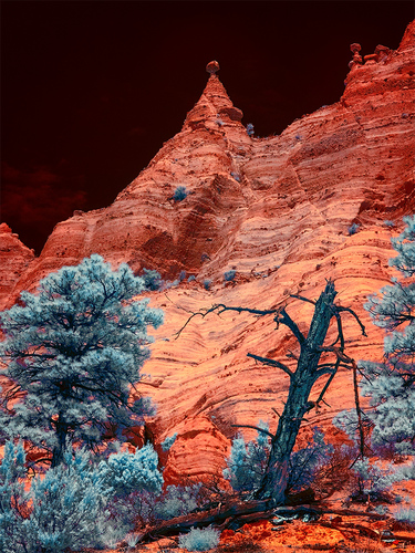 The Pinnacle