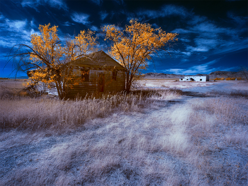 Autumn of Days